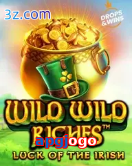 apgjogo slot wild wild riches